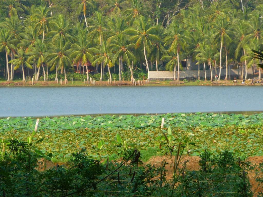 Ganesh Ayurveda Holiday Home Apartment Kovalam Eksteriør bilde